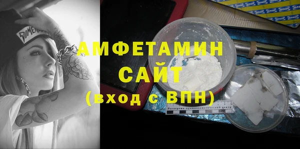 молекула духа Кулебаки