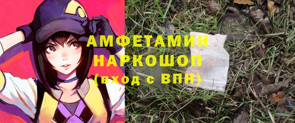 молекула духа Кулебаки