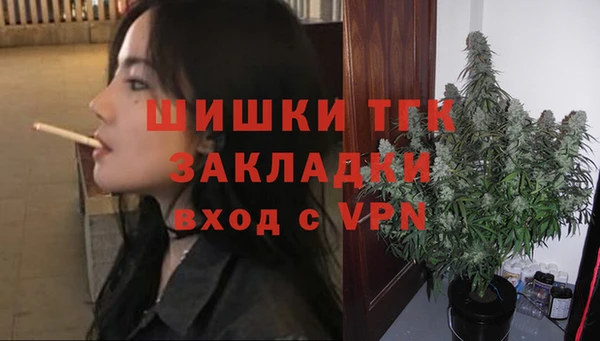 молекула духа Кулебаки