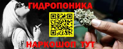 хмурый Абакан