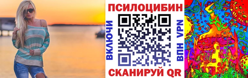 где купить MEGA ONION Псилоцибиновые грибы мухоморы Абакан