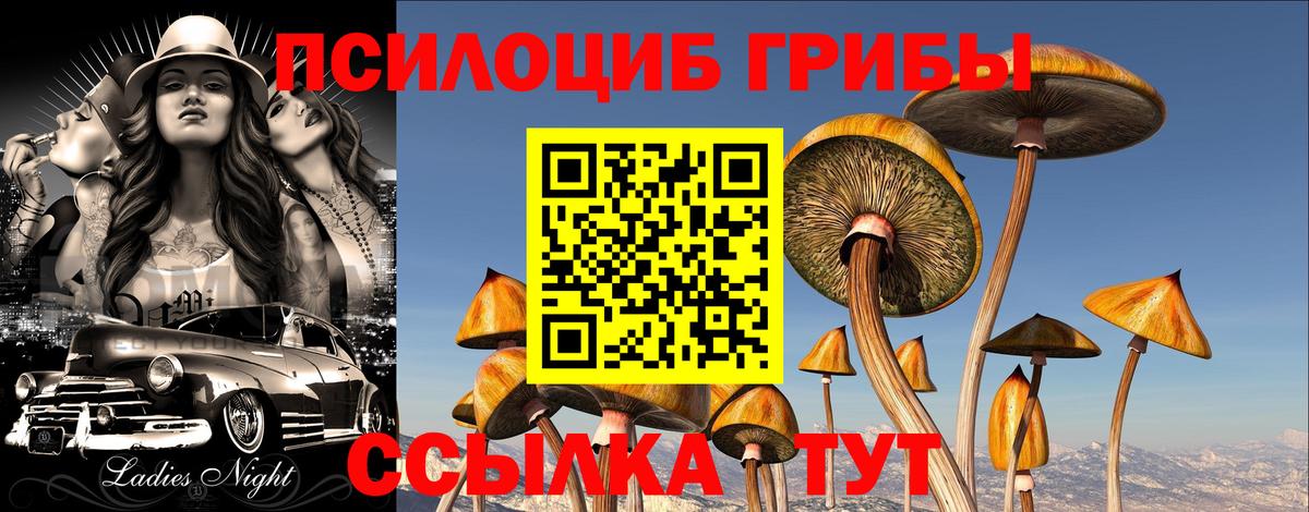 Галлюциногенные грибы Magic Shrooms Абакан