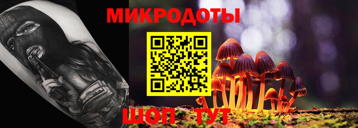 Псилоцибиновые грибы GOLDEN TEACHER  Псилоцибиновые грибы Cubensis  Вход с VPN  Абакан 